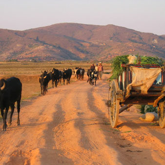paysage malgache paysage malgache